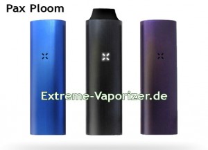 Pax in 3 Farben